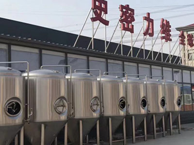 鹤壁精酿啤酒设备厂—如何判断精酿啤酒设备的密封件需要更换？